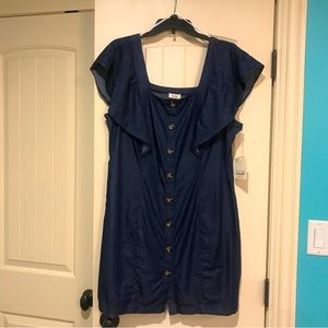NWT A.N.A Chambray Dark Wash Button Dress